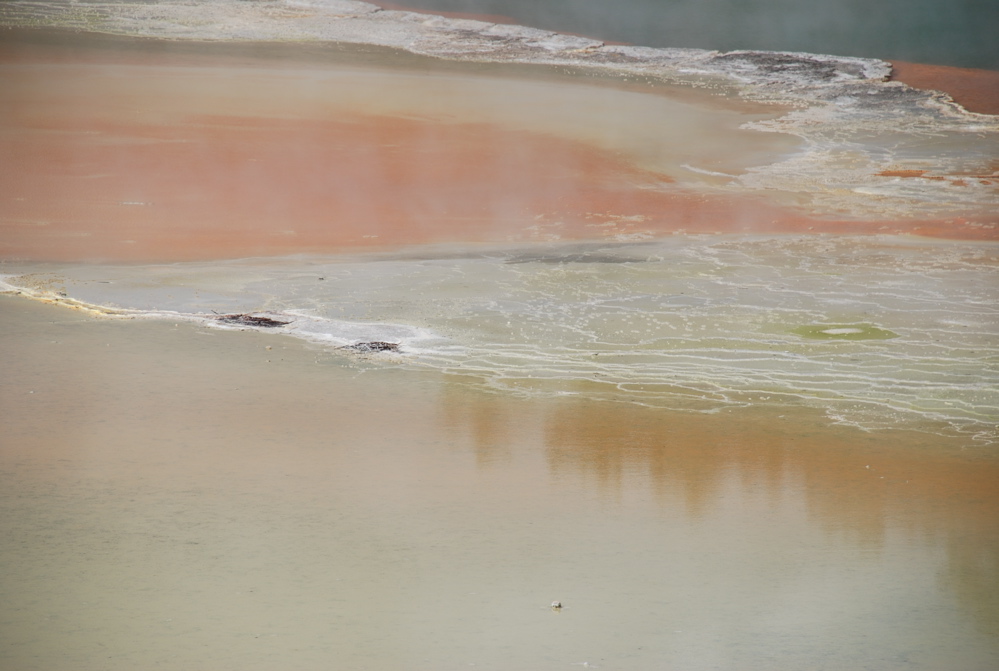 DSC_0395.JPG