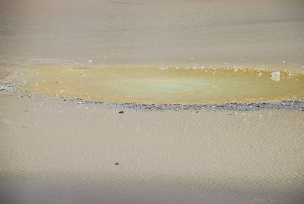 DSC_0398.JPG
