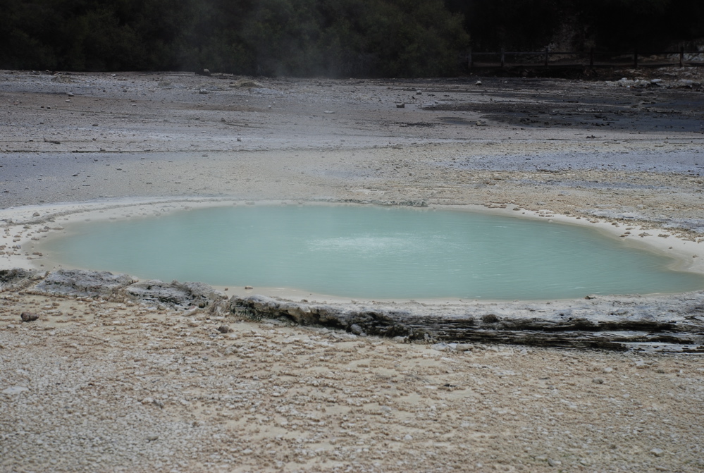 DSC_0413.JPG