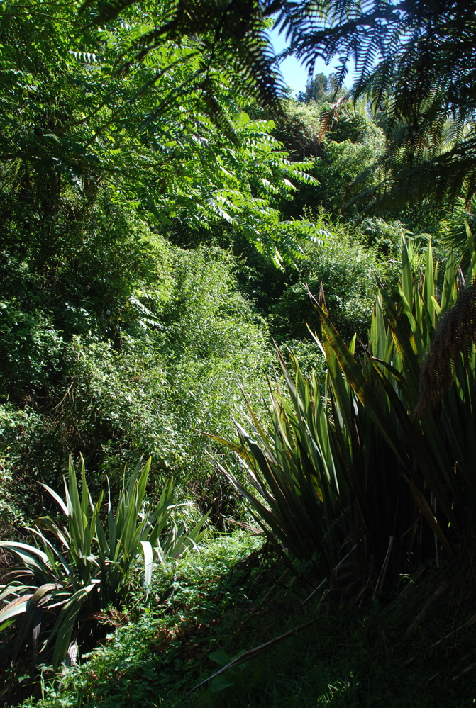 DSC_0049.JPG