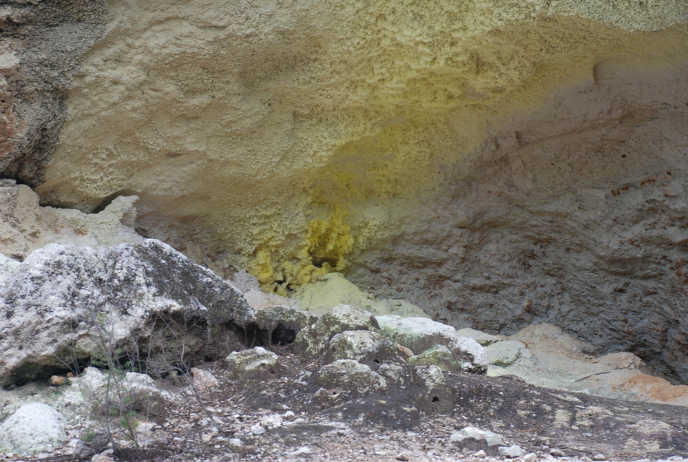 DSC_0415.JPG
