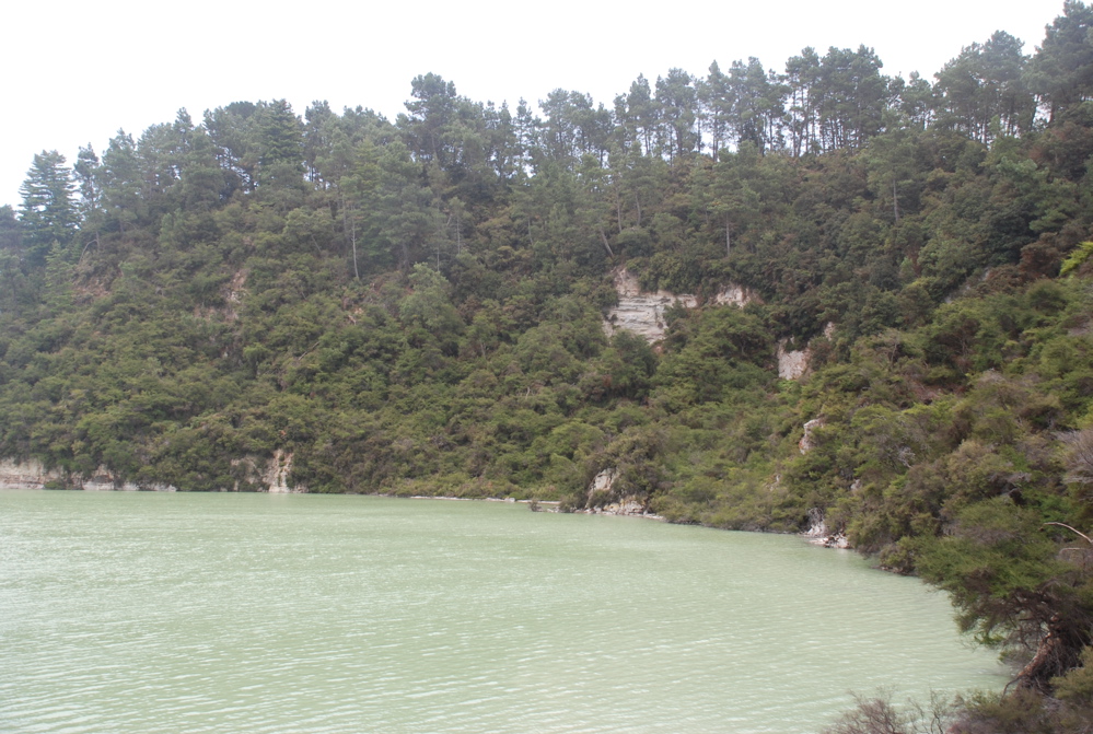 DSC_0420.JPG