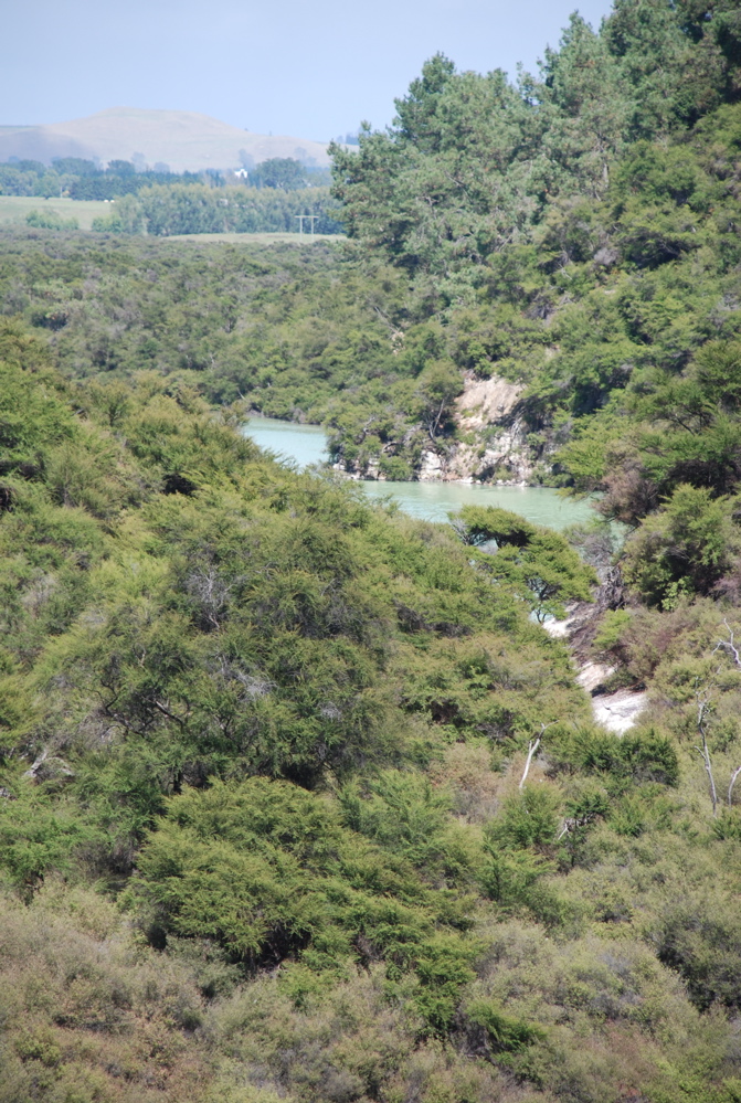 DSC_0426.JPG