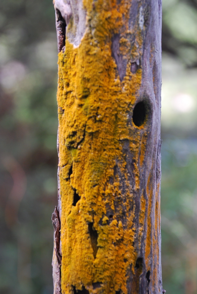 DSC_0441.JPG