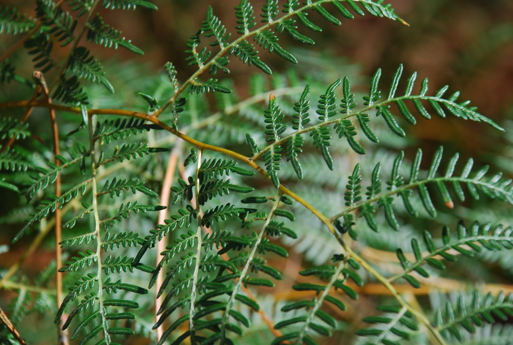 DSC_0449.JPG