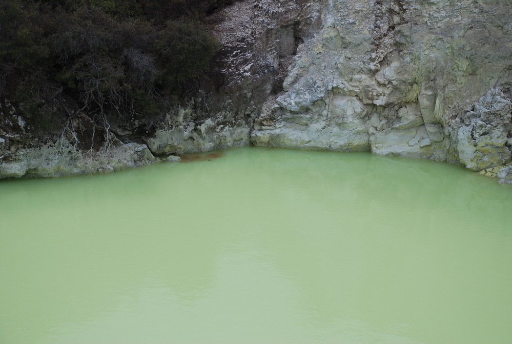 DSC_0453.JPG