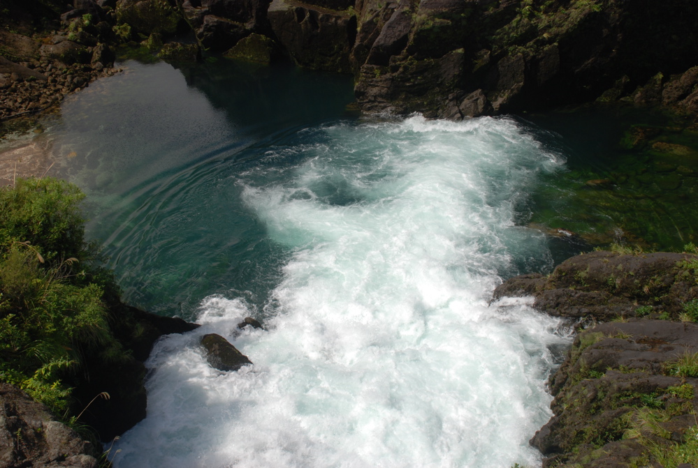 DSC_0466.JPG