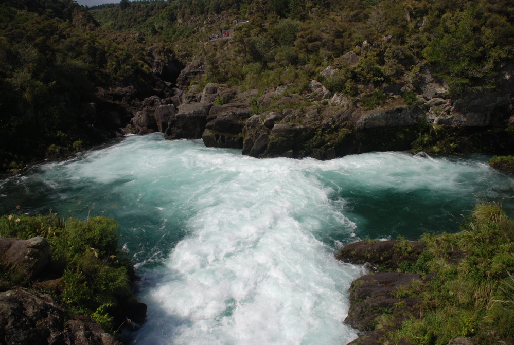 DSC_0473.JPG