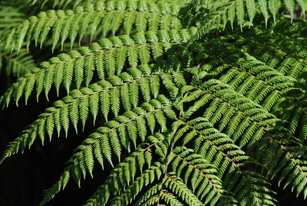 DSC_0055.JPG