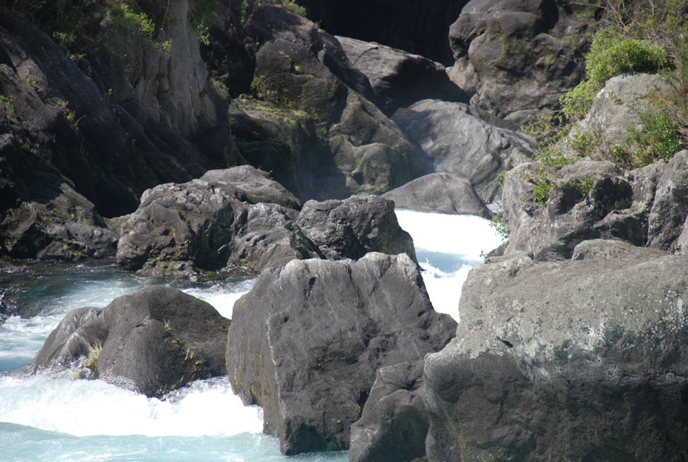 DSC_0477.JPG