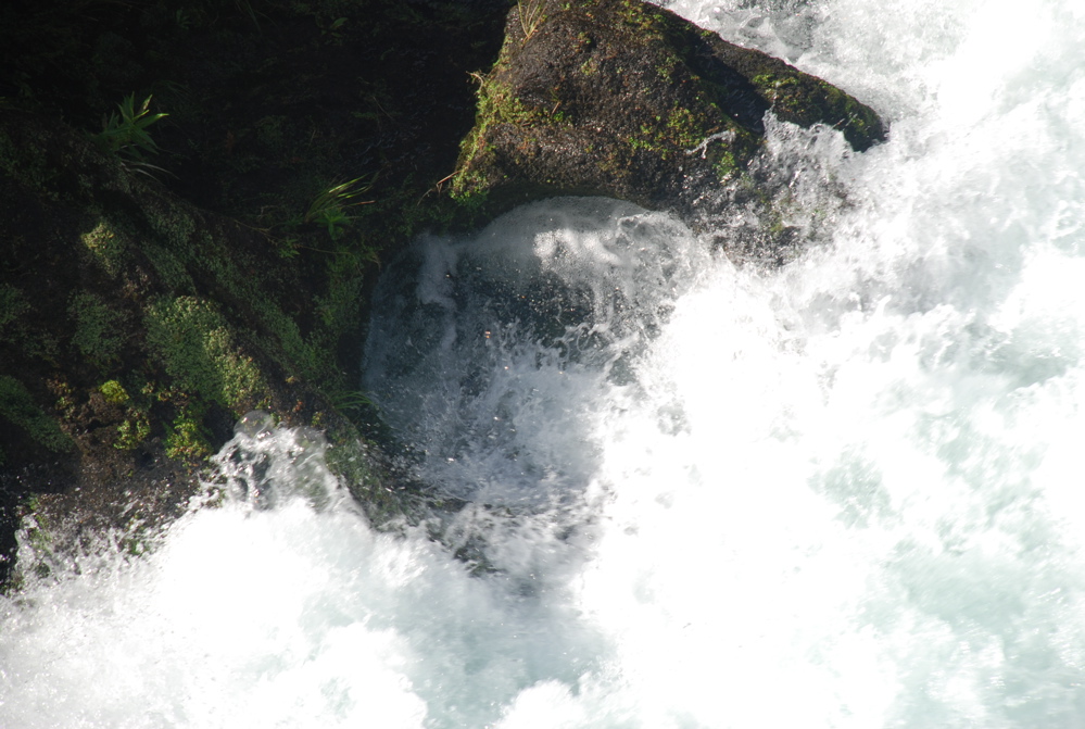 DSC_0478.JPG