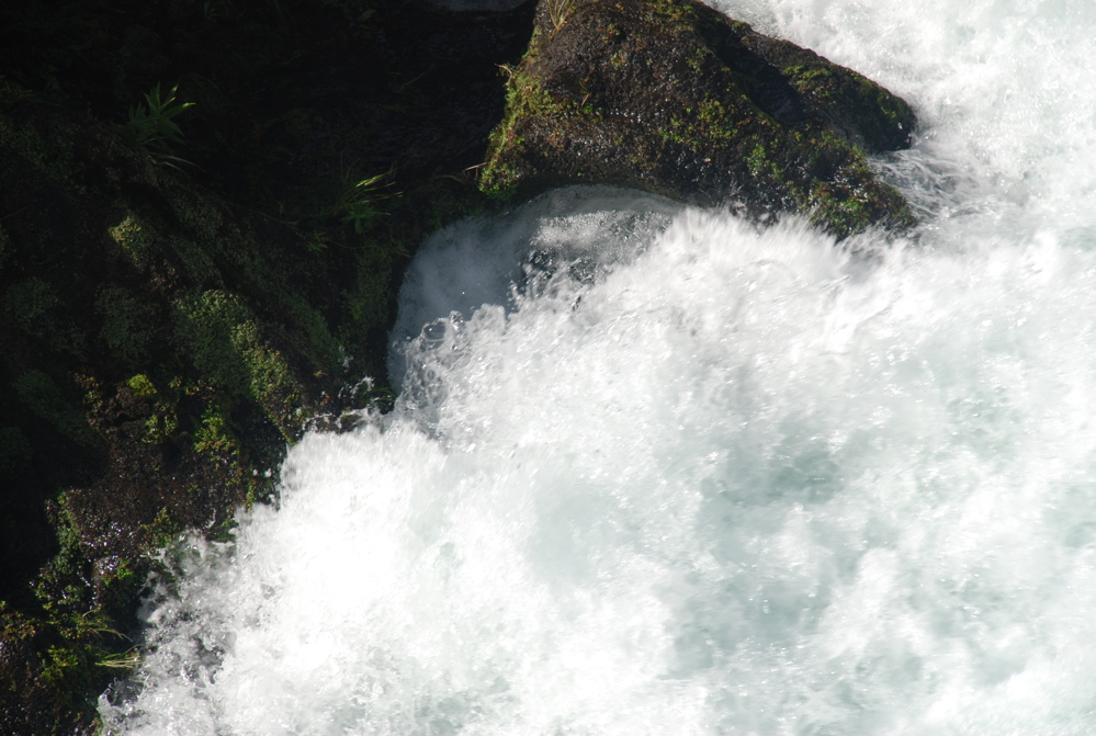 DSC_0479.JPG