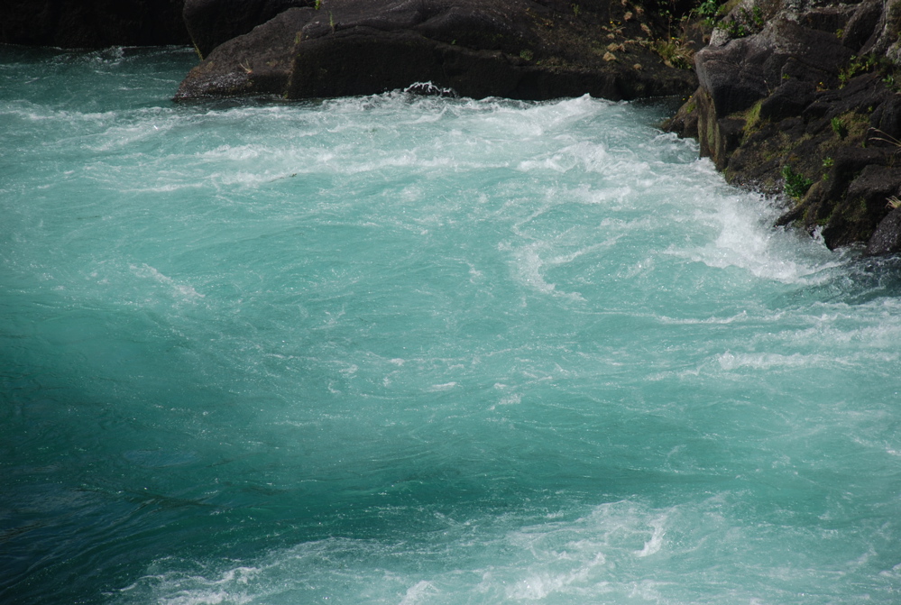 DSC_0483.JPG
