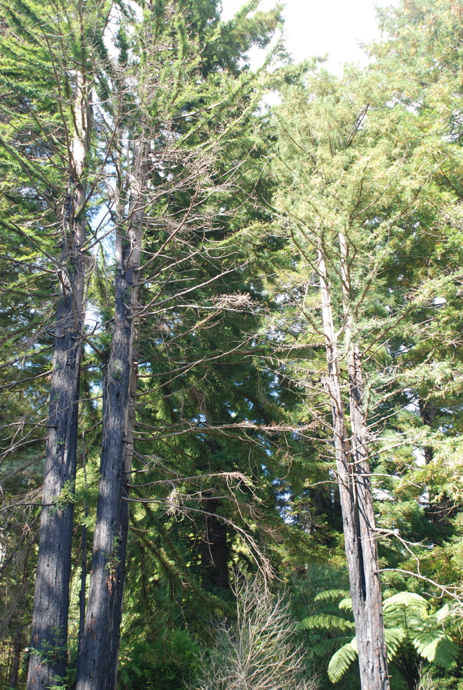 DSC_0056.JPG