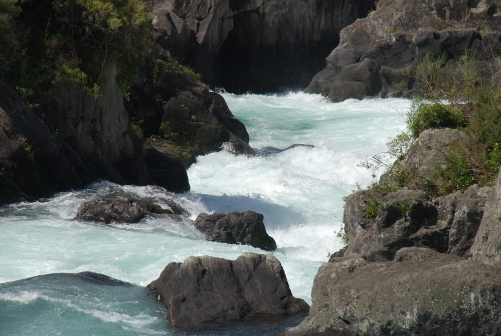 DSC_0484.JPG