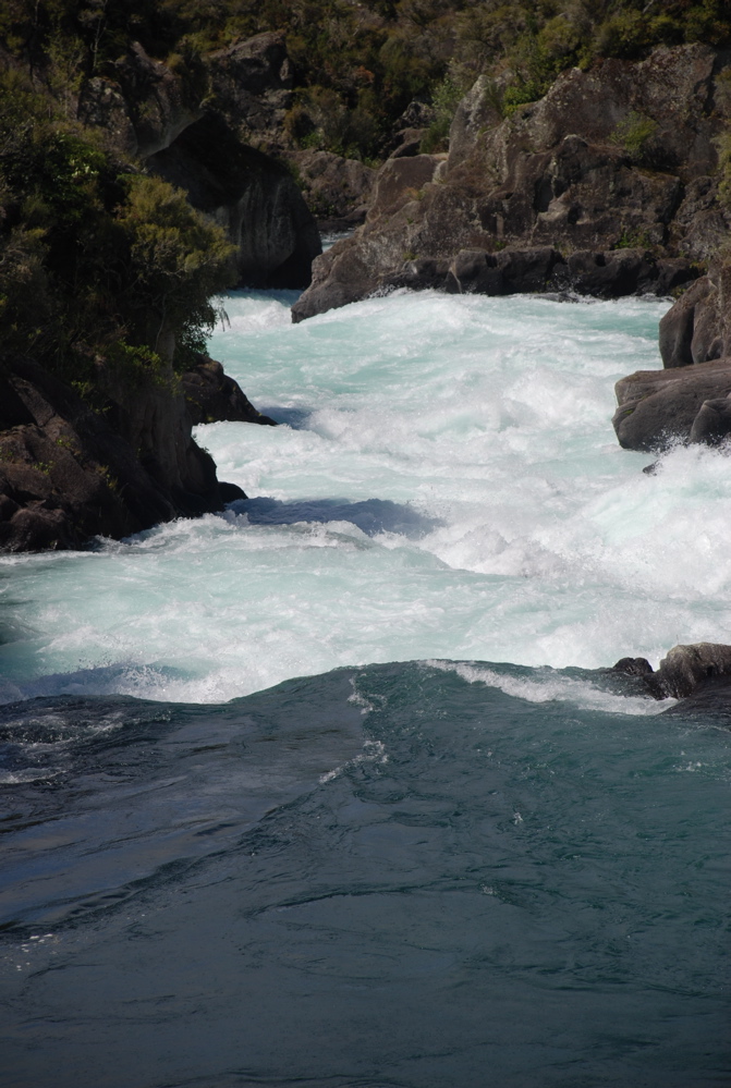 DSC_0487.JPG