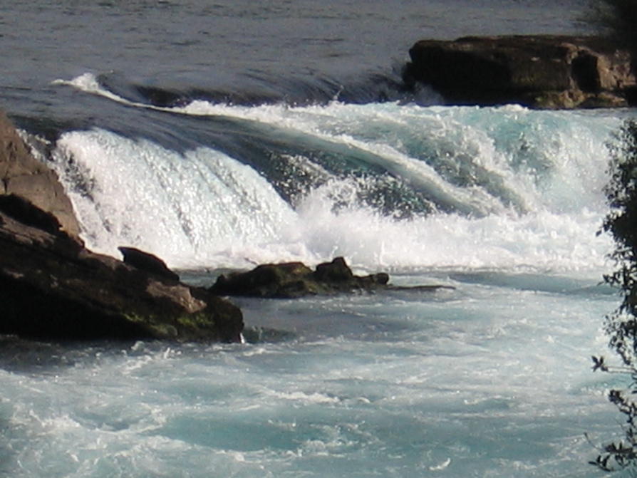 IMG_4069.JPG