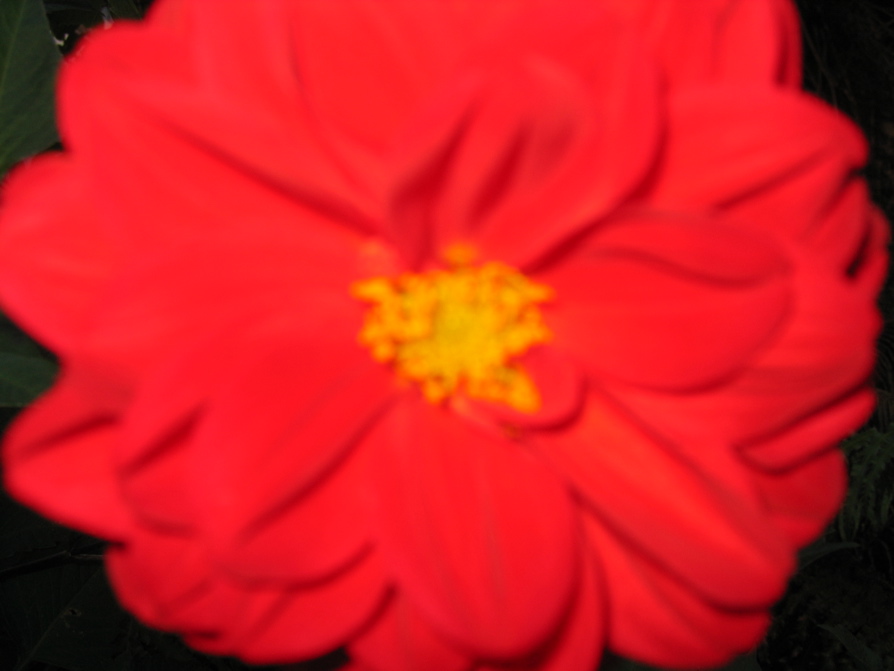 IMG_4077.JPG