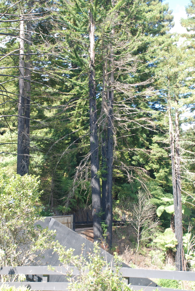 DSC_0058.JPG