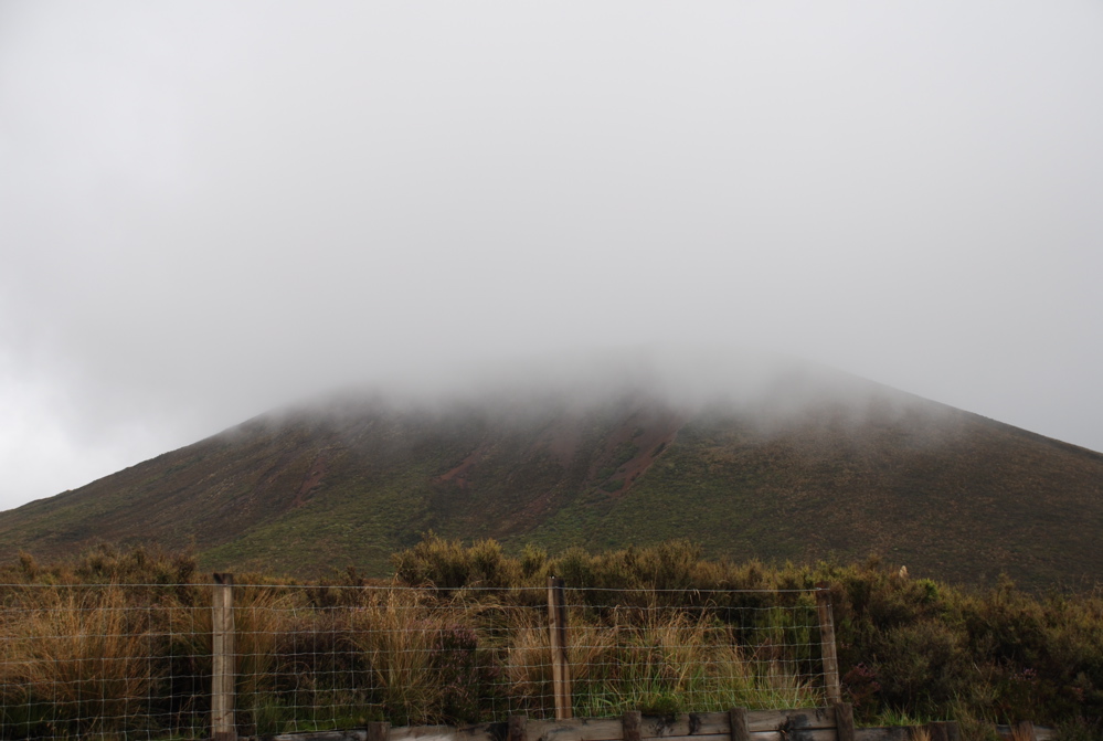 DSC_0488.JPG