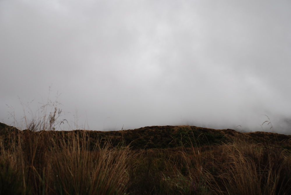 DSC_0489.JPG