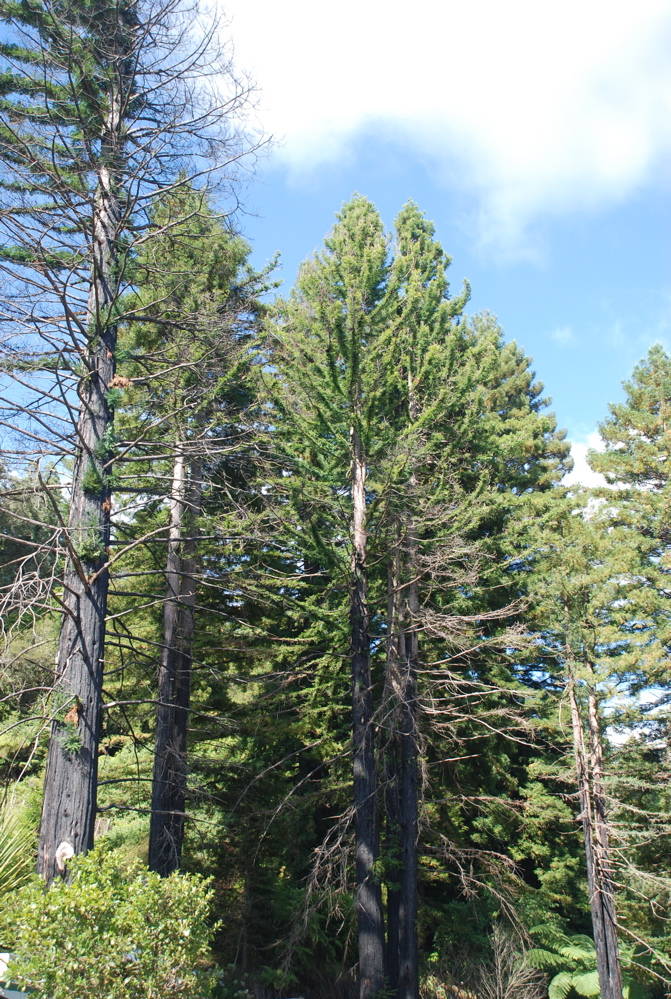 DSC_0059.JPG