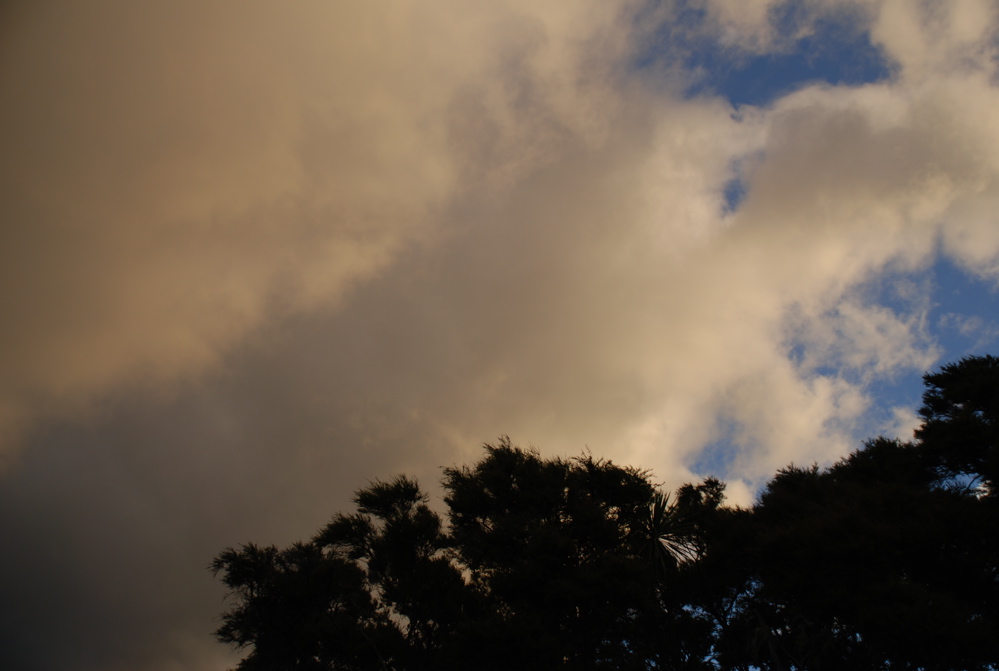 DSC_0506.JPG