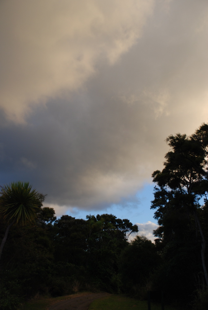 DSC_0507.JPG
