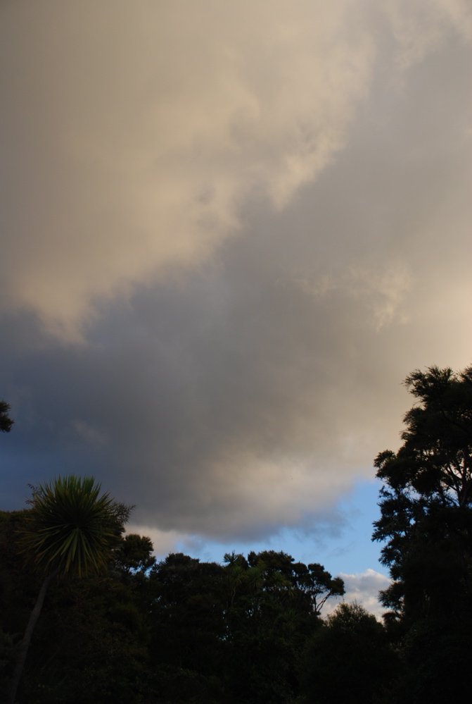 DSC_0508.JPG