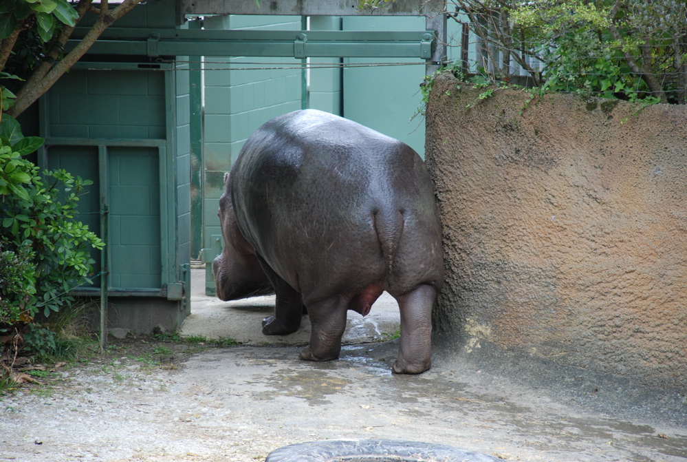 DSC_0545.JPG