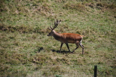DSC_0105.JPG