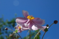DSC_0123.JPG