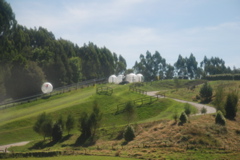DSC_0130.JPG