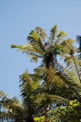 DSC_0140.JPG