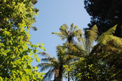 DSC_0141.JPG