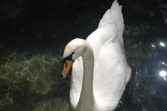 DSC_0142.JPG