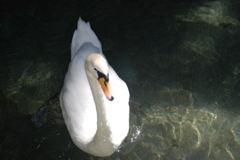 DSC_0145.JPG