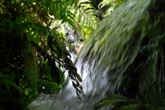 DSC_0146.JPG