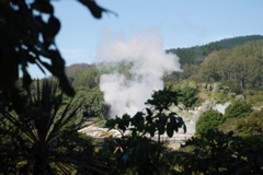 DSC_0147.JPG