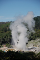 DSC_0149.JPG