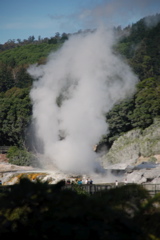 DSC_0150.JPG