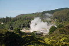 DSC_0151.JPG
