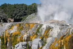 DSC_0153.JPG