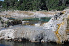 DSC_0155.JPG