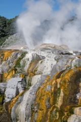 DSC_0156.JPG