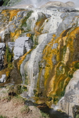 DSC_0157.JPG