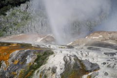 DSC_0158.JPG