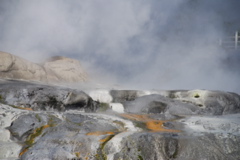DSC_0159.JPG