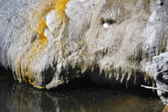 DSC_0162.JPG