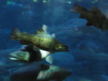 IMG_3957.JPG
